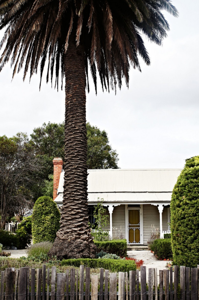 australijski, wiejski domek pod palmami - to domek po renowacji. 140 lat trwania, to wystarczająco długi okres, by dokonać renowacji - tak też został odświeżony mały domek - uroczy, sympatyczny i nie całkiem dla nas...