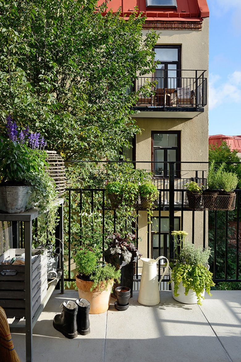 Mini ogródek na małym balkonie (20220)