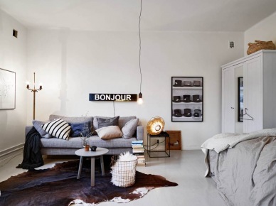 Skandynawski salon razem z sypialnią w małym mieszkaniu (26834)