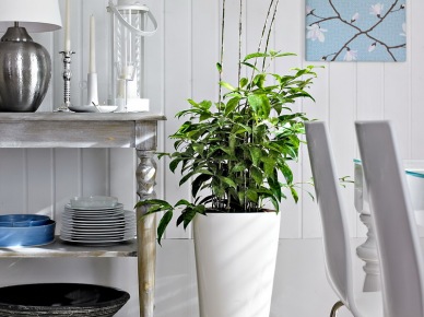 Zielone rośliny w smukłych ceramicznych wazonach w białym kolorze (21119)