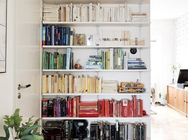 Pomysłowe półki w roli wiszącej biblioteczki w małym mieszkaniu (22302)