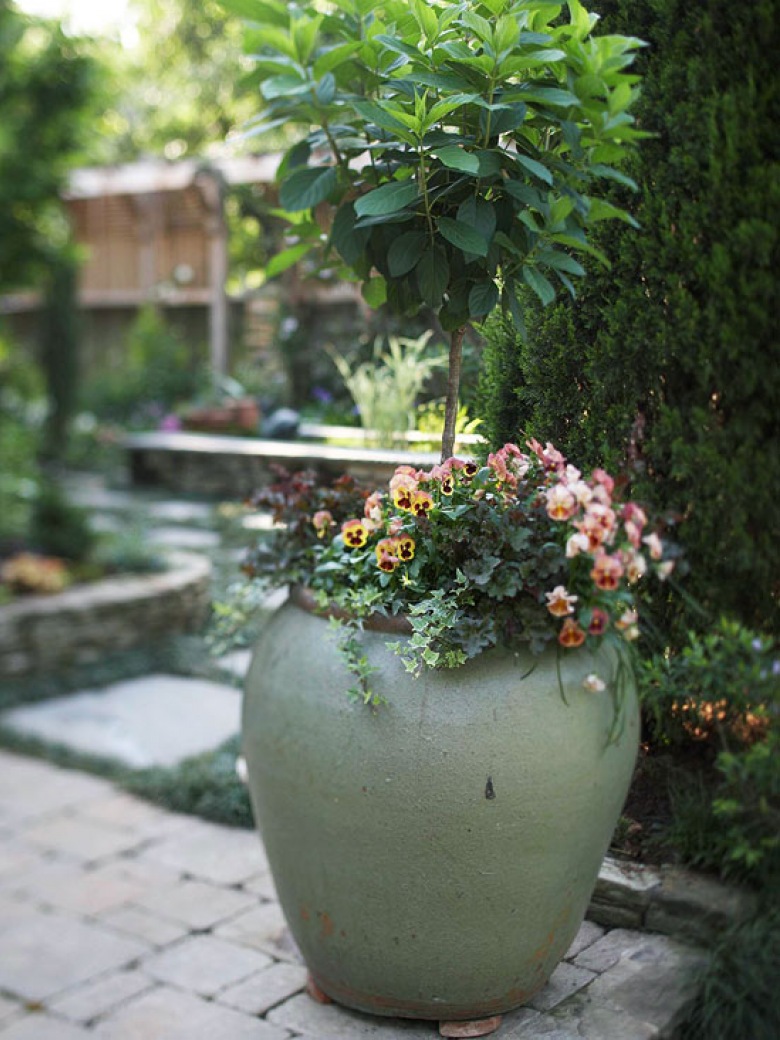 typowa rustykalna aranżacja małego tarasu z pergolą i małym ogródkiem. Drewno, kamień i mnóstwo kwiatów przeplecionych...