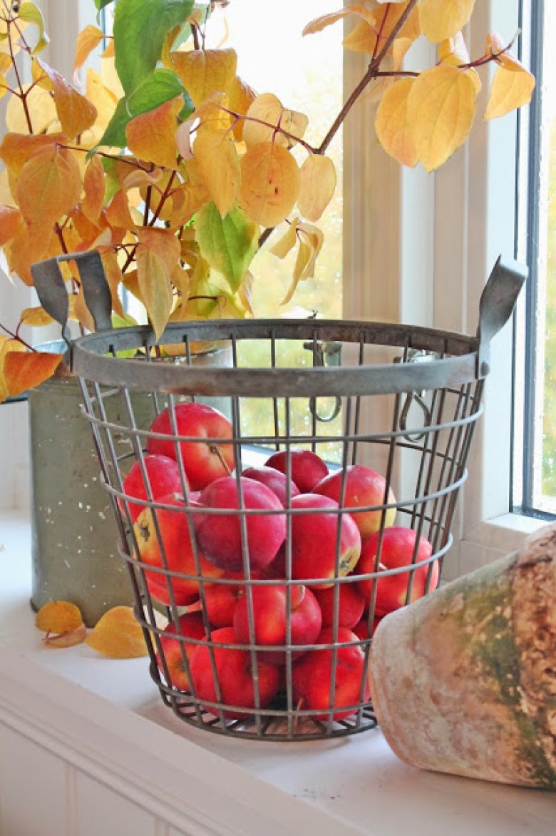 Czerwone jabłka,druciany kosz,wazon z ocynku,szary wazon,jesienna kompozycja z jabłkami,jesienne inspiracje na balkon i taras (35368)