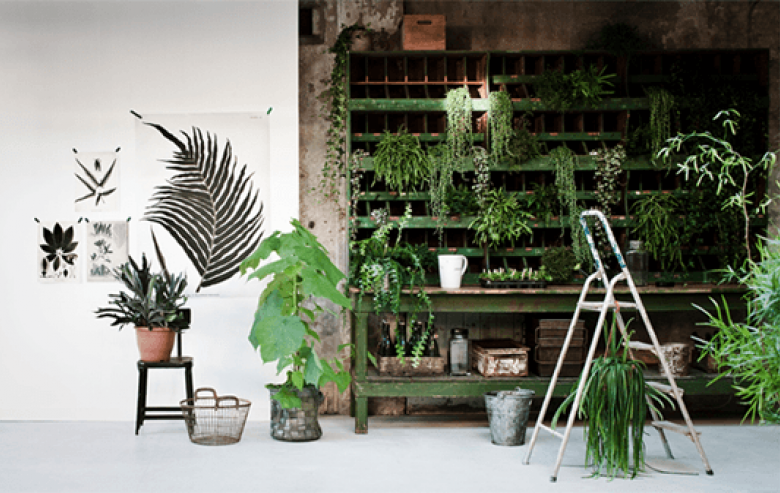 jeśli chcecie mieć w domu oryginalne , roślinne kompozycje, to koniecznie obejrzyjcie te fotki - tu znajdziecie...