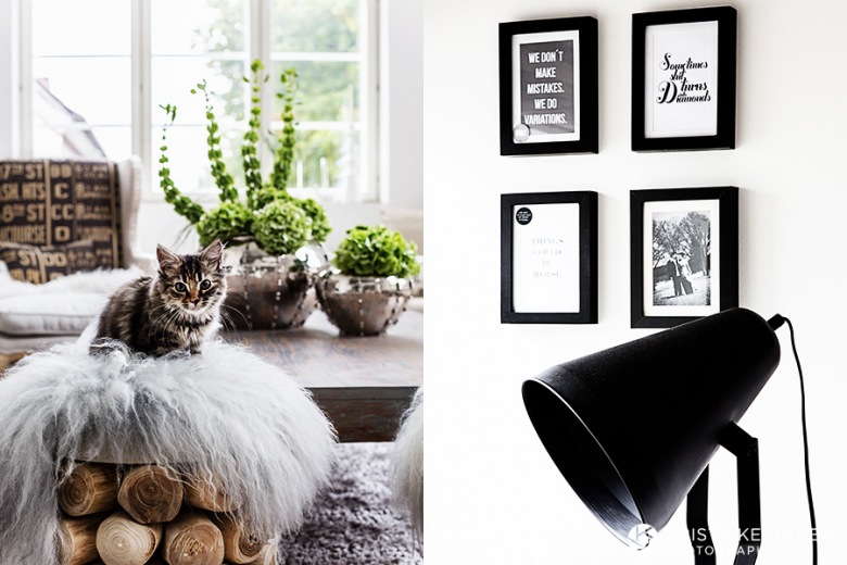 Biało-czarne grafiki na ścianie,dekoracje do salonu,nowoczesna czarna lampa,futerko na stołki,białe futerko,kotek,siedzisko z drewna (35419)