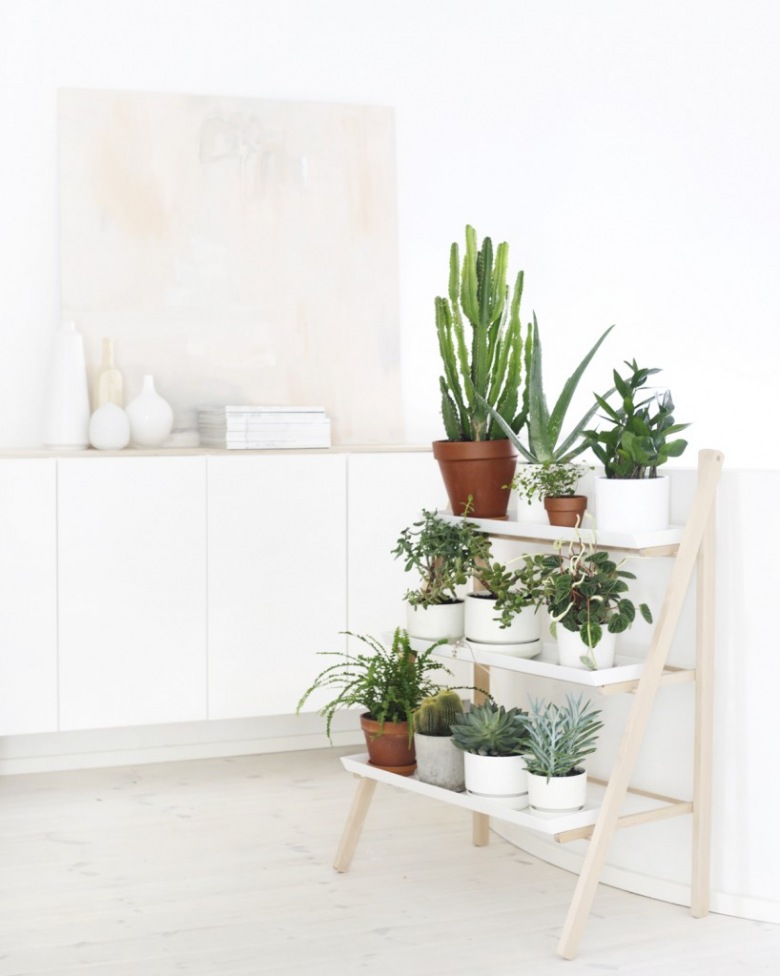 Pomysłowe półki stojące na zielone rośliny w białym wnętrzu (20761)
