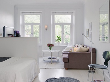Salon z aneksem na łózko w aranzaxcji jednopokojowego mieszkania w stylu skandynawskim (20038)