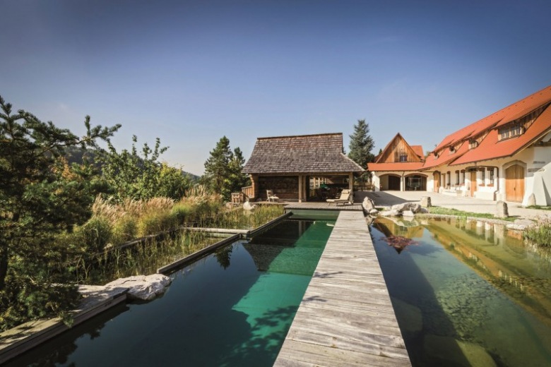 tradycyjny dom z naturalnym basenem - rezydencja duża i stworzona zgodnie z naturą