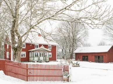 Czerwony dom otulony bielą śniegu wprowadza w świąteczny nastrój. Rustykalny krajobraz posiadłości na wsi podkreśla nie tylko zabudowa, ale także drewniany płot pomalowany w kolorze elewacji...