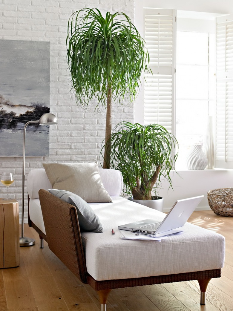 Piękna aranżacja salonu z białą cegłą i zielonymi roślinami (21113)