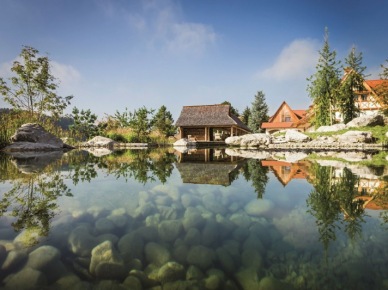 tradycyjny dom z naturalnym basenem - rezydencja duża i stworzona zgodnie z...