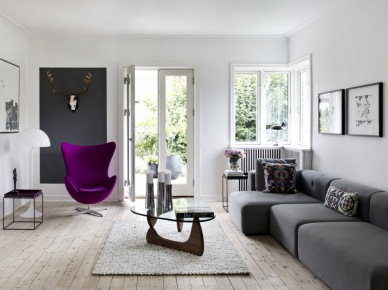 Szary narożnik, fioletowy fotel i czarna pojedyncza ściana w białym salonie (21049)