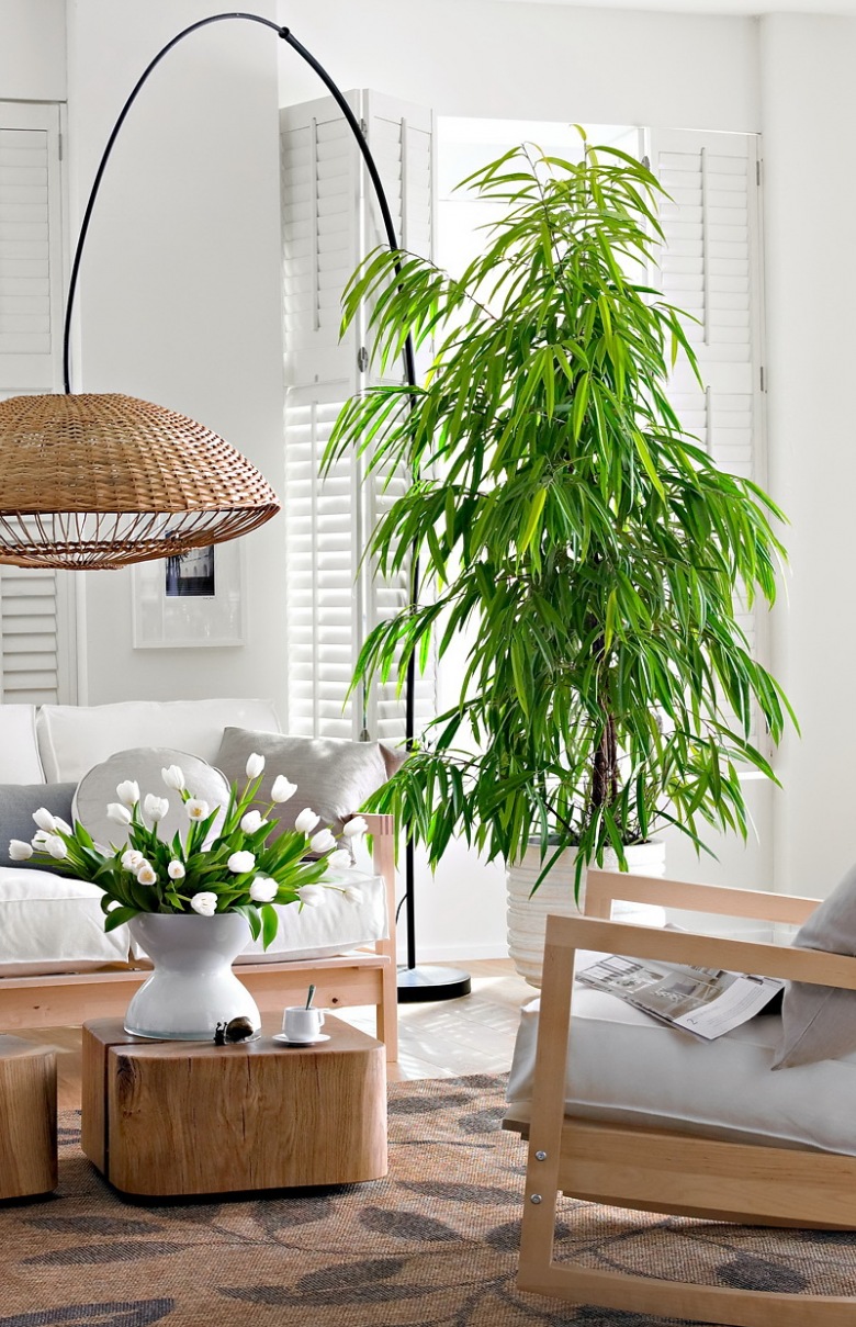 Kwiaty i rośliny w salonie z drewnianymi meblami i wiklinową lampą (21112)