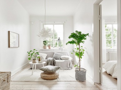 Mały salon w skandynawskim stylu z zielonymi roślinami (52006)