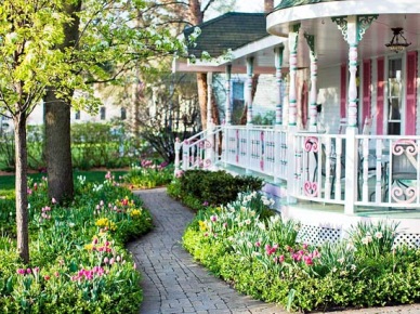 jak zaaranżować wejście do domu ? to propozycja ogródka kwiatowego przed frontem domu - kwiaty we wszystkich kolorach i formach - po prostu piękny ogródek...