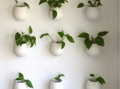 Biale ceramiczne pojemniki z ziołami na kuchennej ścianie (22326)